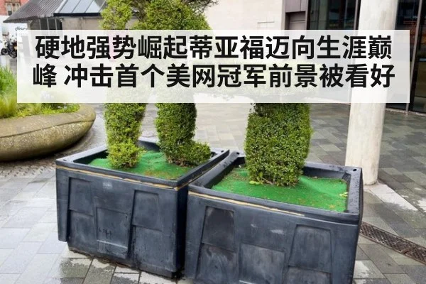 硬地强势崛起蒂亚福迈向生涯巅峰 冲击首个美网冠军前景被看好